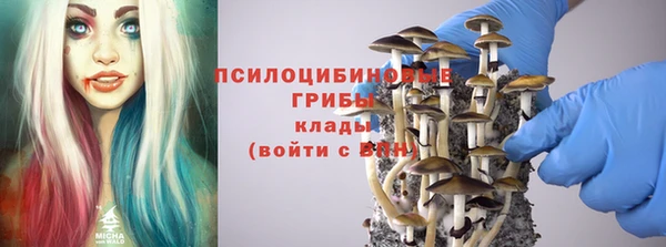 ешки Белоозёрский
