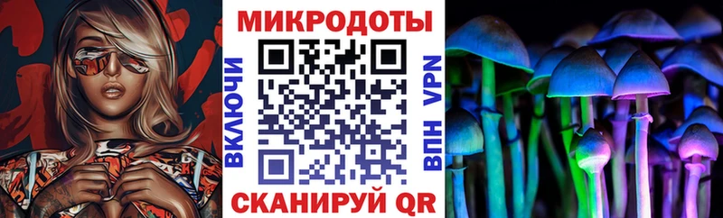 Галлюциногенные грибы Psilocybine cubensis  где можно купить наркотик  Неман 